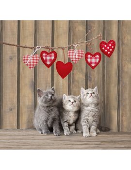 Trapuntino Leggero Primaverile Estivo Cuori E Gatti - Imbottitura 100 gr. Stampa Digitale